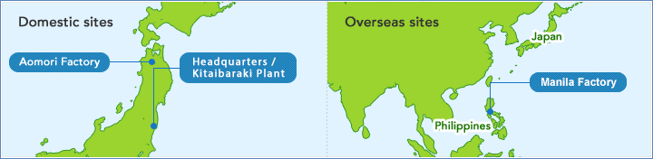 Domestic and Overseas Bases